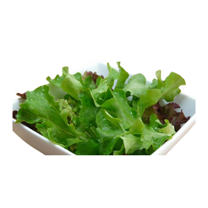 Mede Foods-Glasgow-Top-Restaurant-&-Fast-food-Plain-Salad